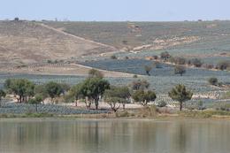 Terreno en venta en Romita